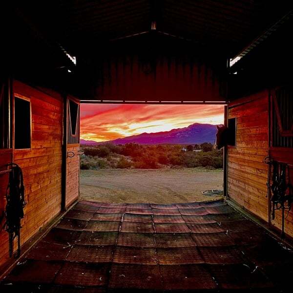 Cover art for The Harp That Once Through Tara's Halls